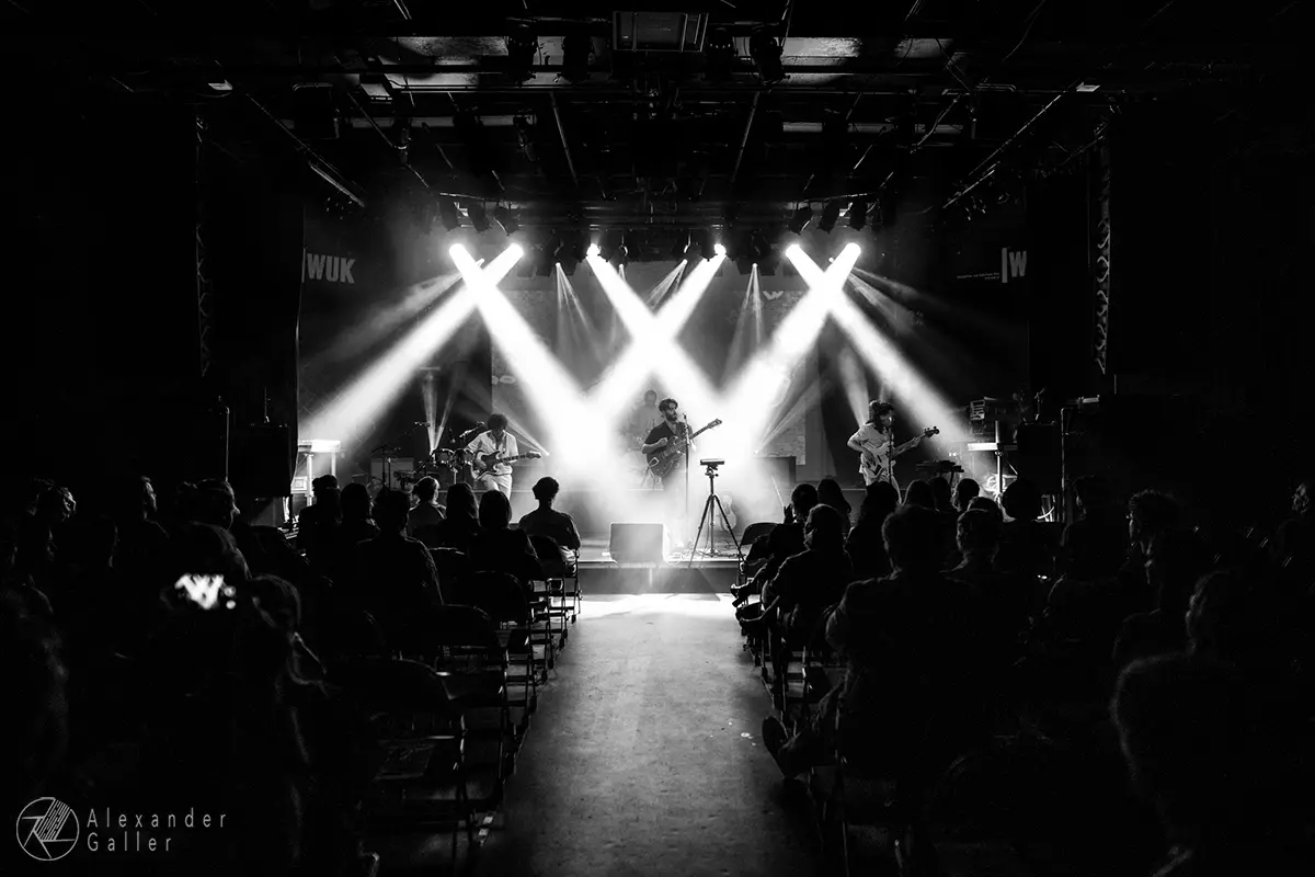 Strandhase and Löwelöwe at WUK Bild, Strandhase and Löwelöwe at WUK