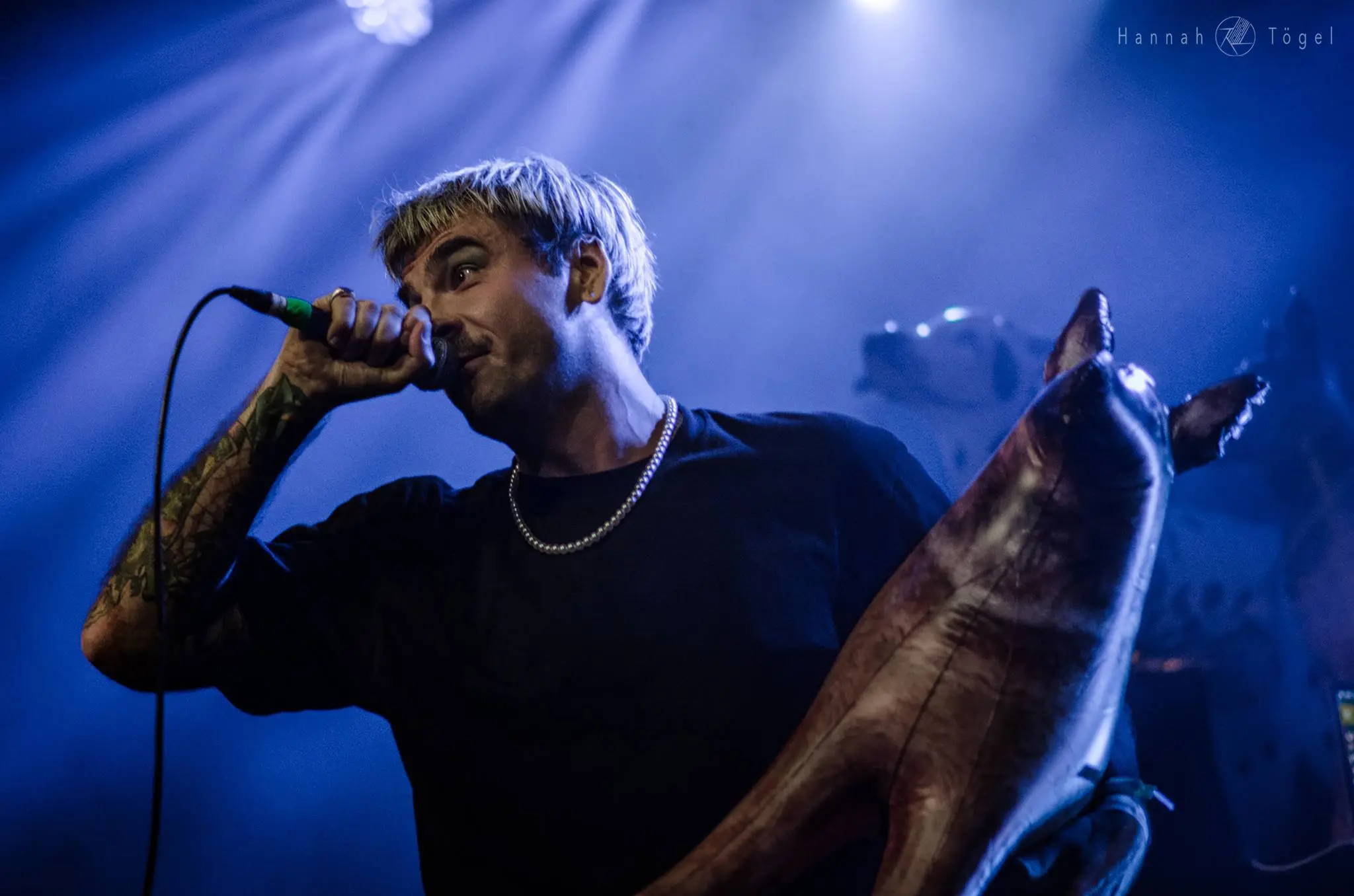 Salò by Hannah Bild, Salò by Hannah