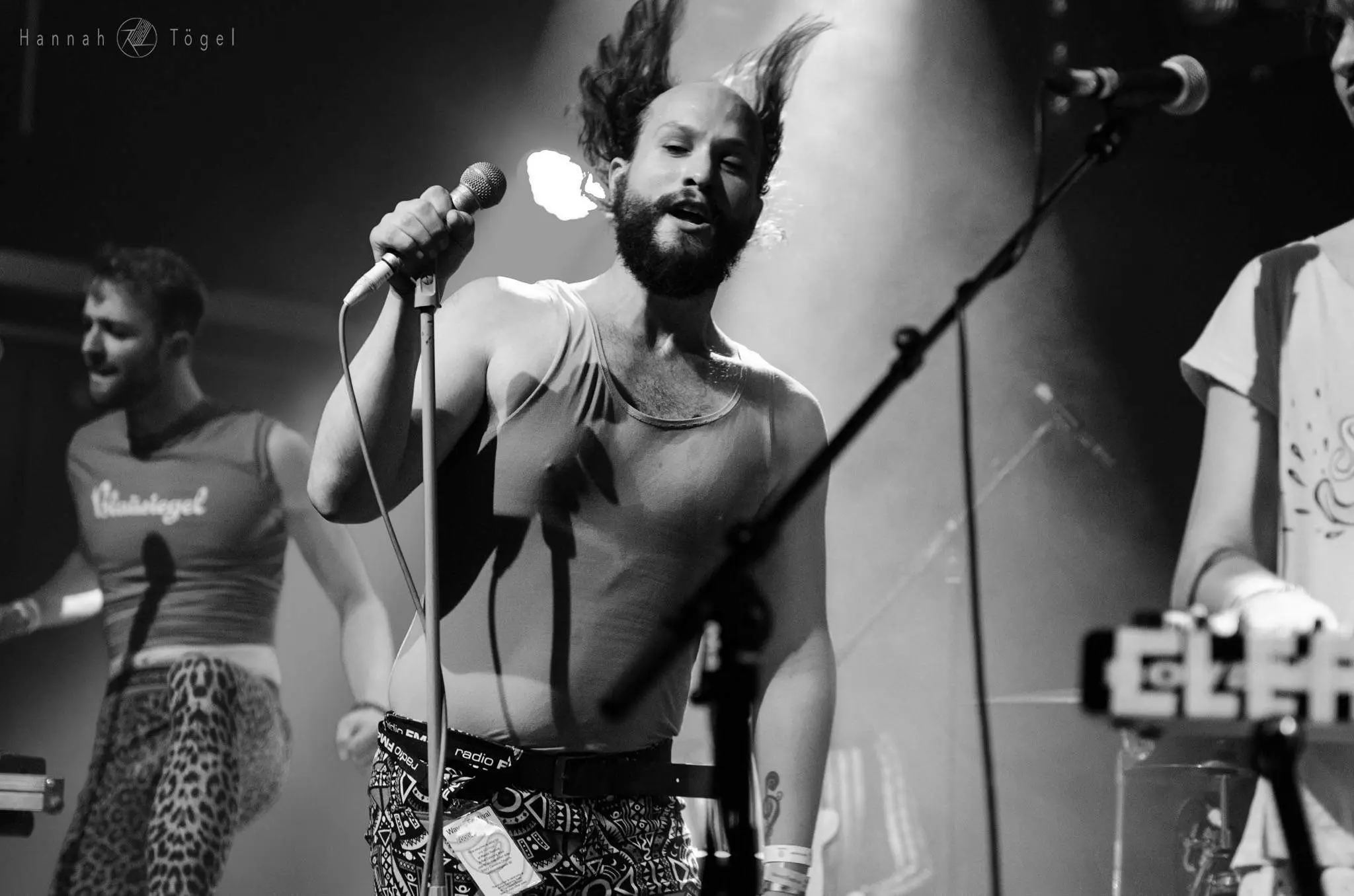 Liener by Hannah Bild, Liener by Hannah