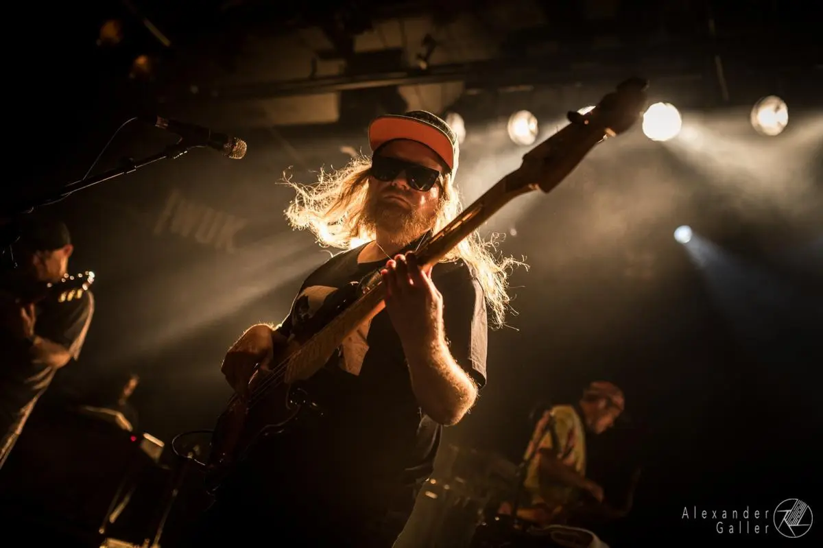 Lettuce at WUK Bild, Lettuce at WUK