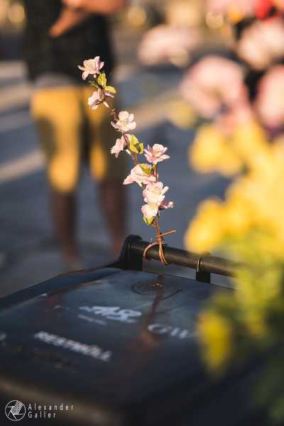 5K HD Bild von 5K HD