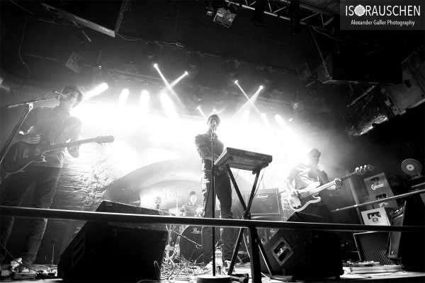 Dandelion Bild von Dandelion