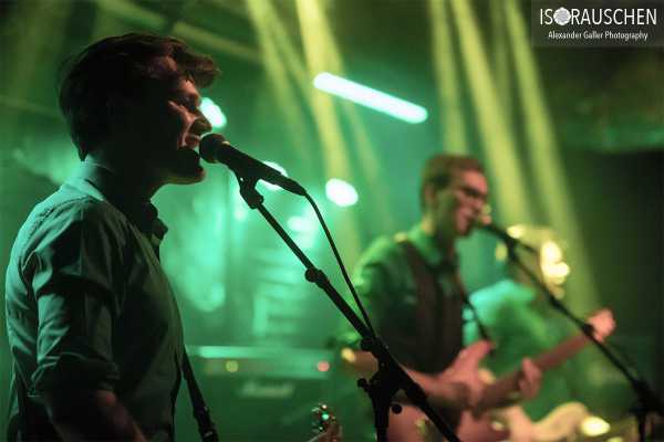 Dandelion Bild von Dandelion