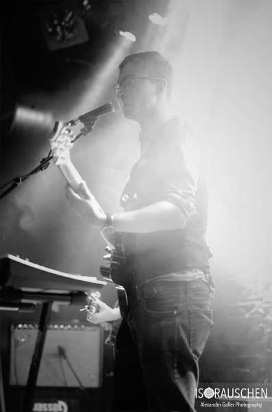 Dandelion Bild von Dandelion