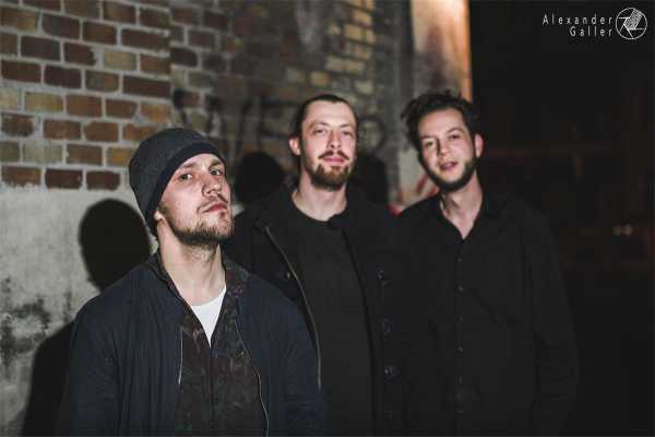David Howald Bild von David Howald