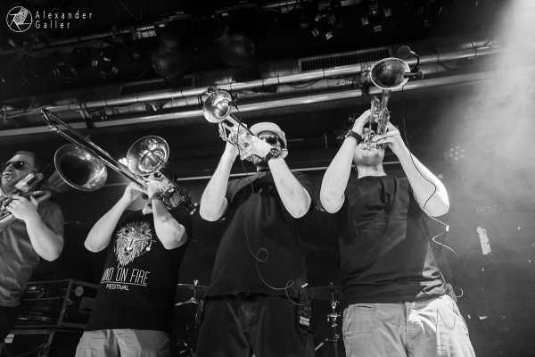 Skolka Bild von Skolka