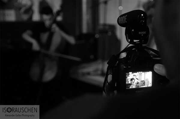 Wolfabout Bild von Wolfabout